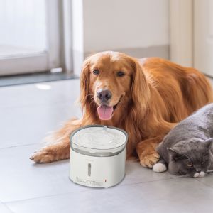Pet water dispenser, intelligent wireless water dispenser, automatic circulation without plugging in